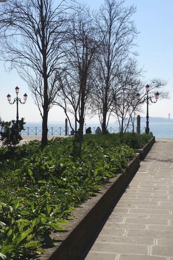 & Cozy Venecia